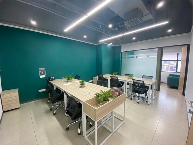 龙华区白蚁预防多少钱