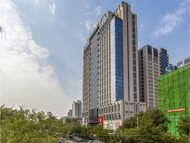 奉贤区婚介所哪家好